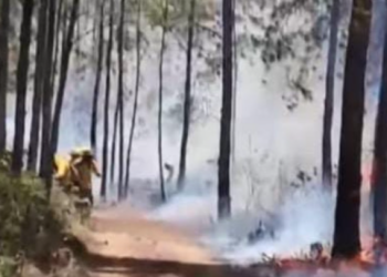 INCENDIO FORESTAL afecta la Sierra de Bahoruco y amenaza zona del Hoyo de Pelempito