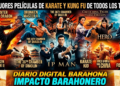 LAS ARTES MARCIALES: Lista de las 100 mejores películas de Karate y Kung Fu de todos los tiempos